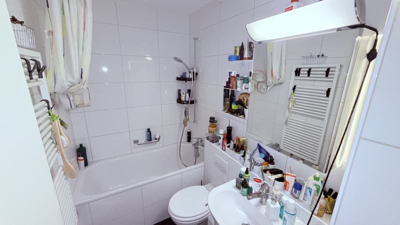 Vollständig möblierte Wohnung für (zwei Monate) zeitweilige Miete in Zürich Altstetten (2)
