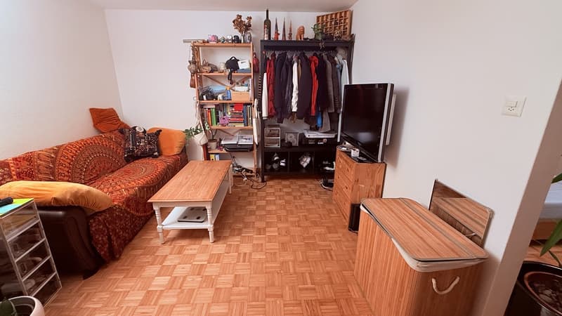 Vollständig möblierte Wohnung für (zwei Monate) zeitweilige Miete in Zürich Altstetten (10)
