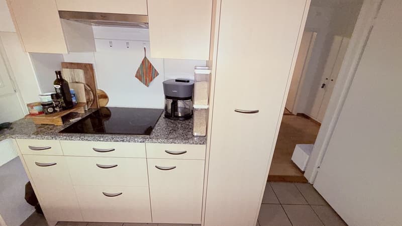 Vollständig möblierte Wohnung für (zwei Monate) zeitweilige Miete in Zürich Altstetten (6)