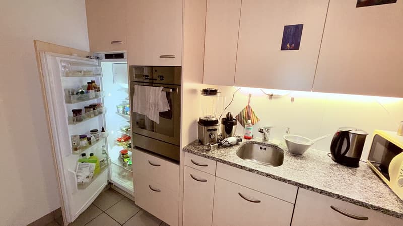 Vollständig möblierte Wohnung für (zwei Monate) zeitweilige Miete in Zürich Altstetten (4)