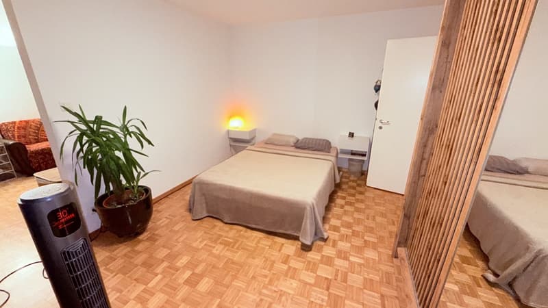 Vollständig möblierte Wohnung für (zwei Monate) zeitweilige Miete in Zürich Altstetten (3)