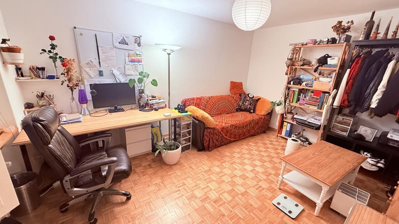 Vollständig möblierte Wohnung für (zwei Monate) zeitweilige Miete in Zürich Altstetten (9)