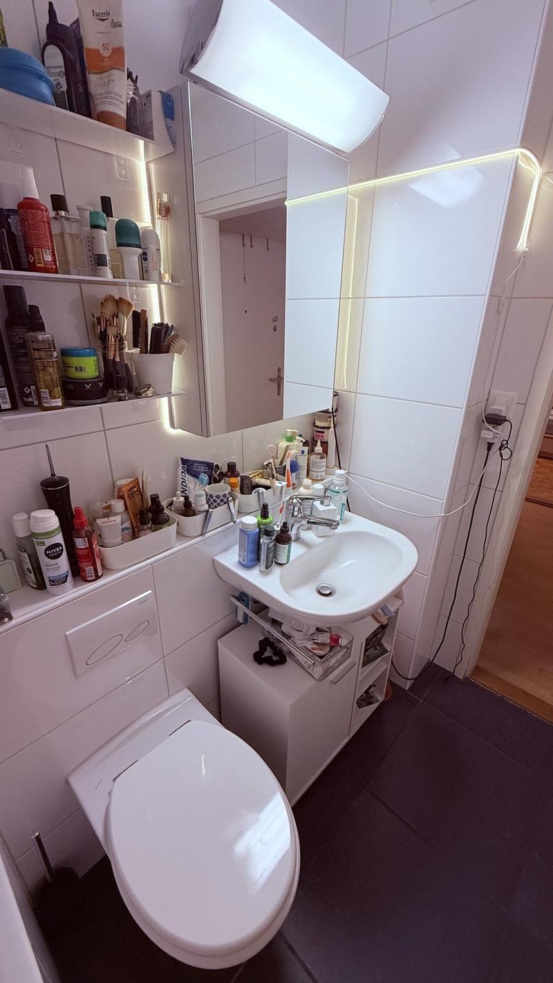 Vollständig möblierte Wohnung für (zwei Monate) zeitweilige Miete in Zürich Altstetten (8)