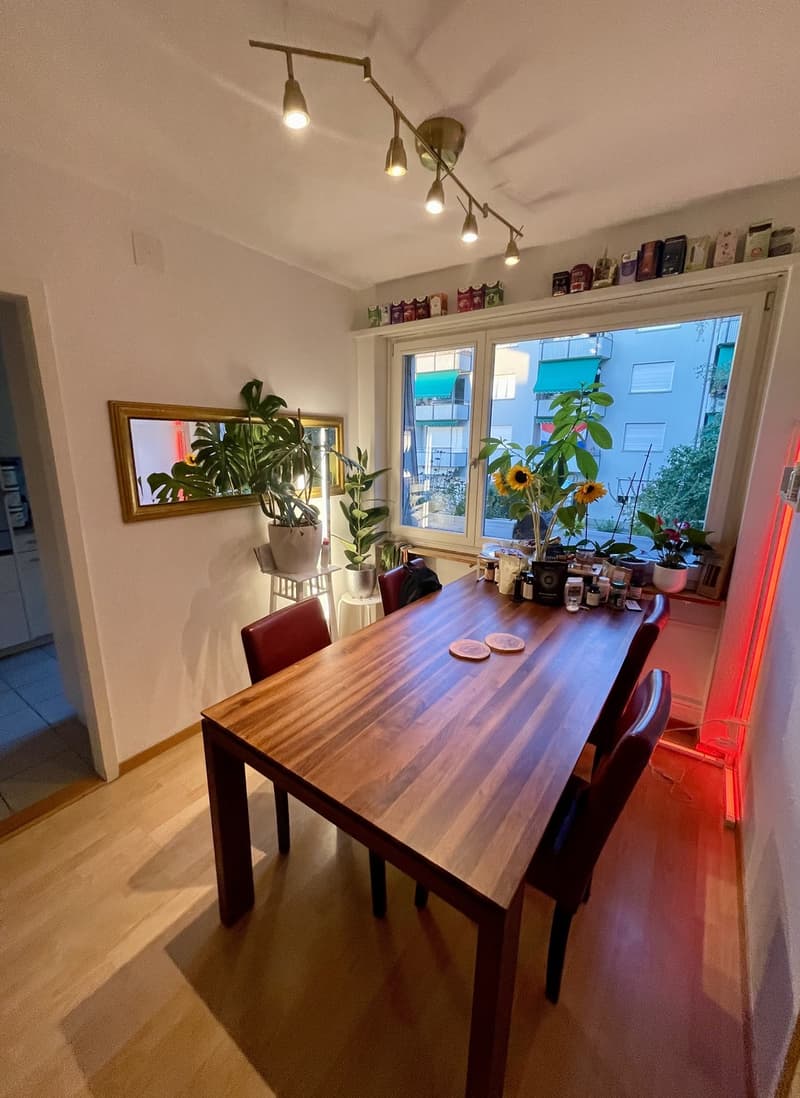 Vollständig möblierte Wohnung für (zwei Monate) zeitweilige Miete in Zürich Altstetten (1)