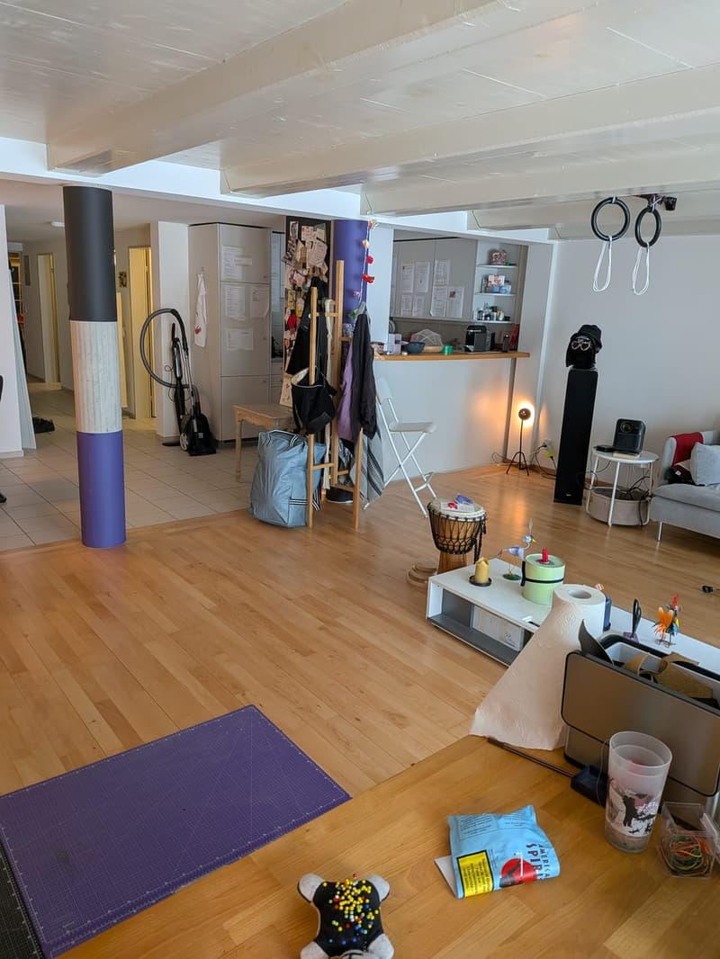 Recherche locataire pour appartement 3.5 pièces dans le vieux Winterthour (2)