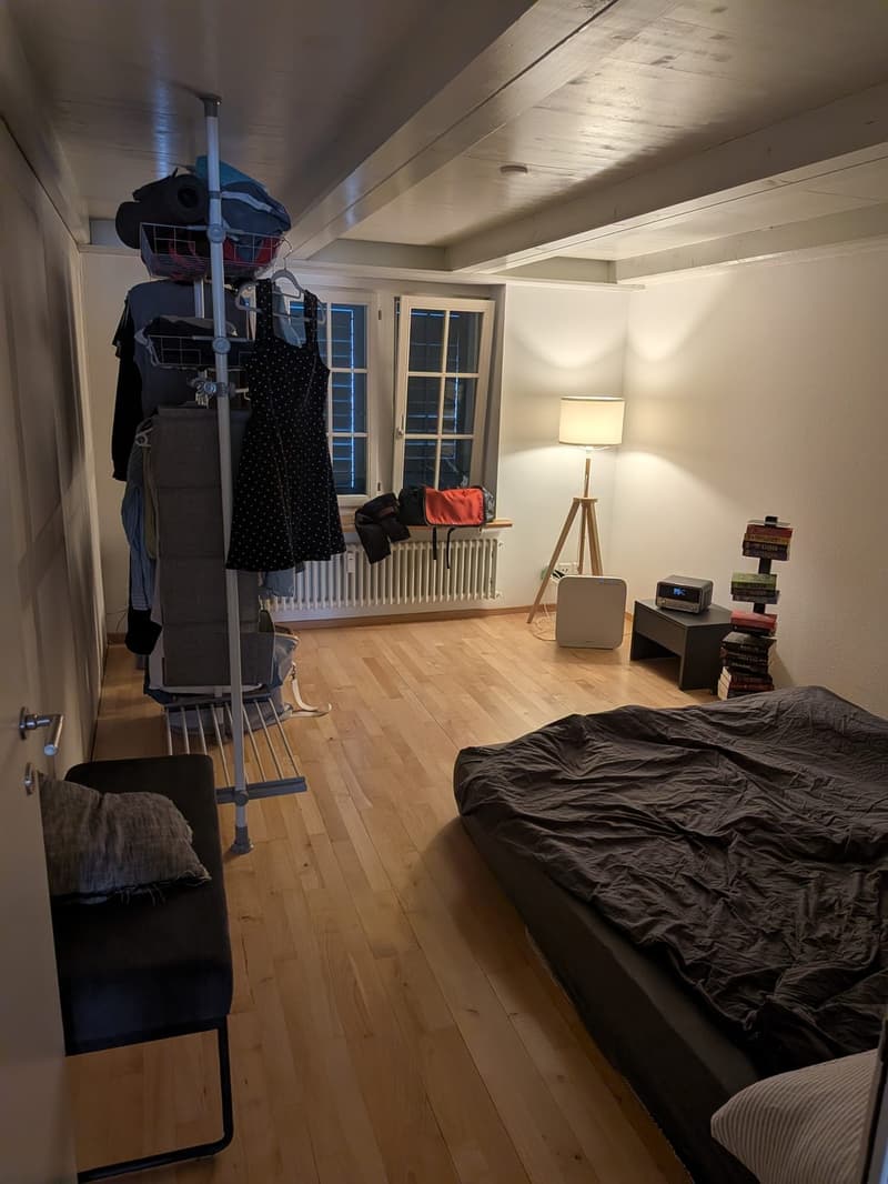 Recherche locataire pour appartement 3.5 pièces dans le vieux Winterthour (10)