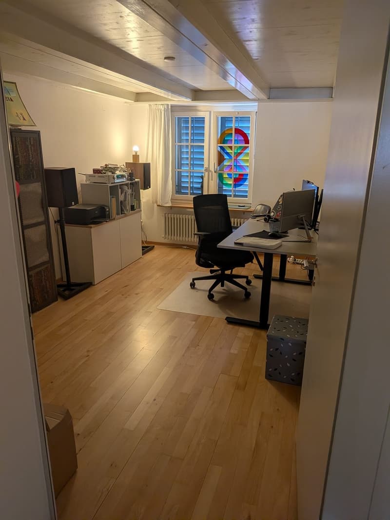 Recherche locataire pour appartement 3.5 pièces dans le vieux Winterthour (12)