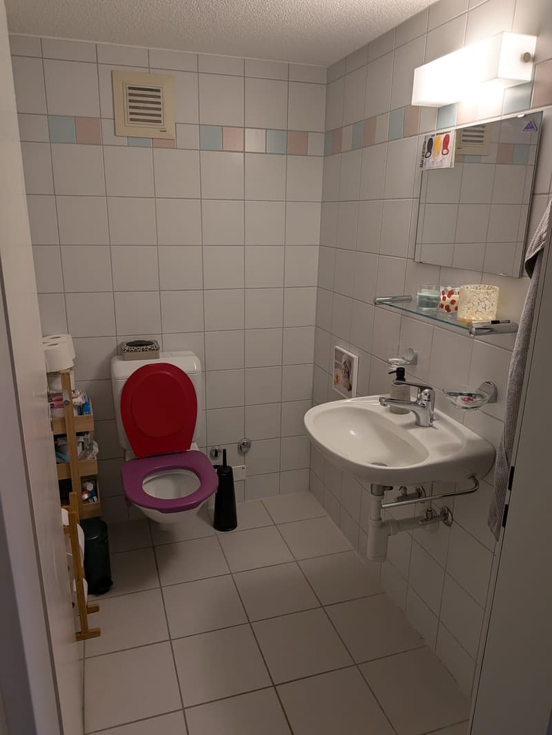 Recherche locataire pour appartement 3.5 pièces dans le vieux Winterthour (6)