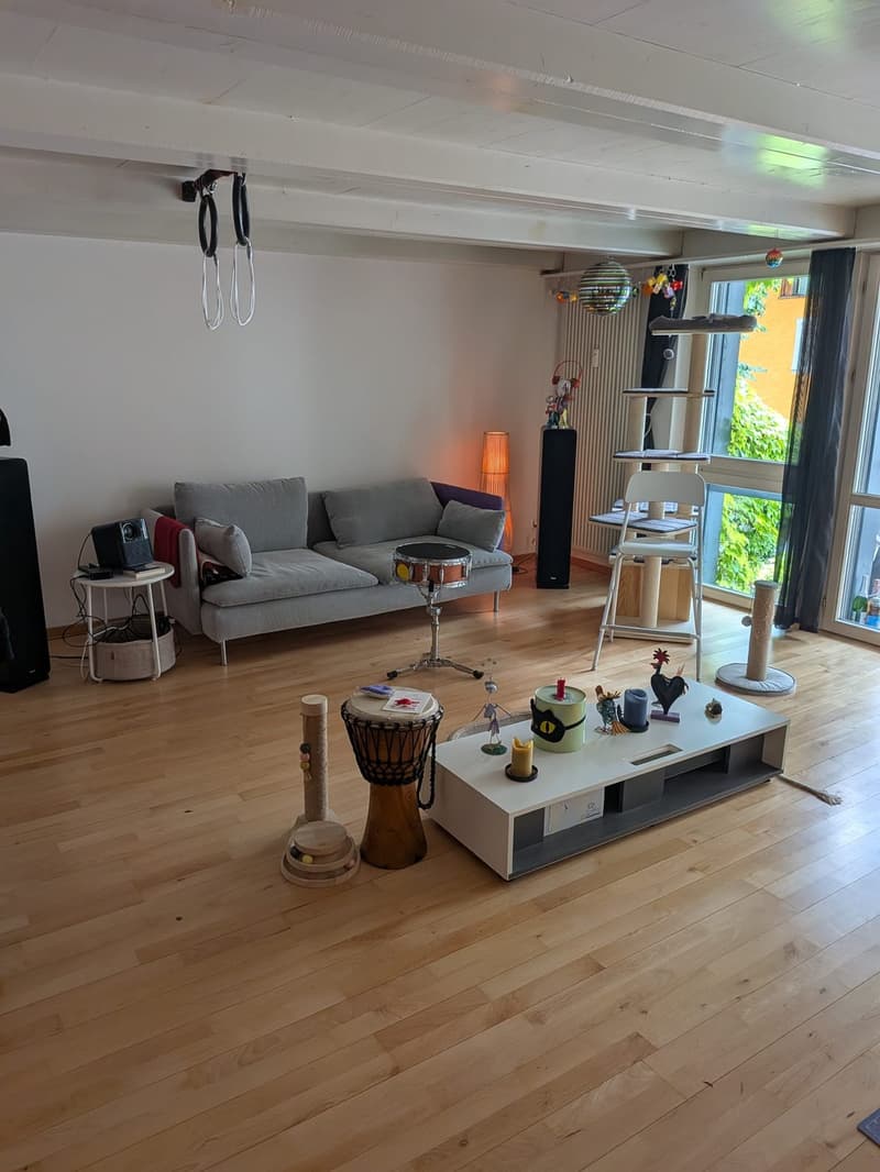 Recherche locataire pour appartement 3.5 pièces dans le vieux Winterthour (1)