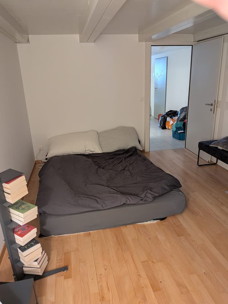 Recherche locataire pour appartement 3.5 pièces dans le vieux Winterthour (11)