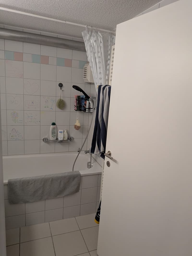 Recherche locataire pour appartement 3.5 pièces dans le vieux Winterthour (7)