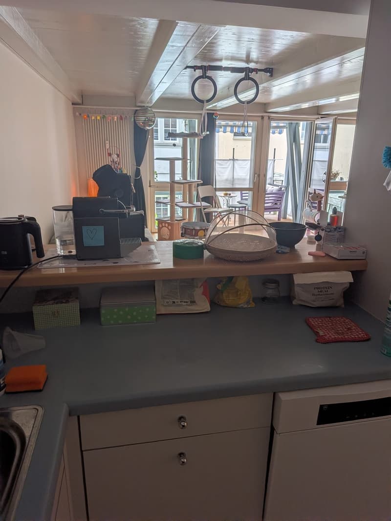 Recherche locataire pour appartement 3.5 pièces dans le vieux Winterthour (5)