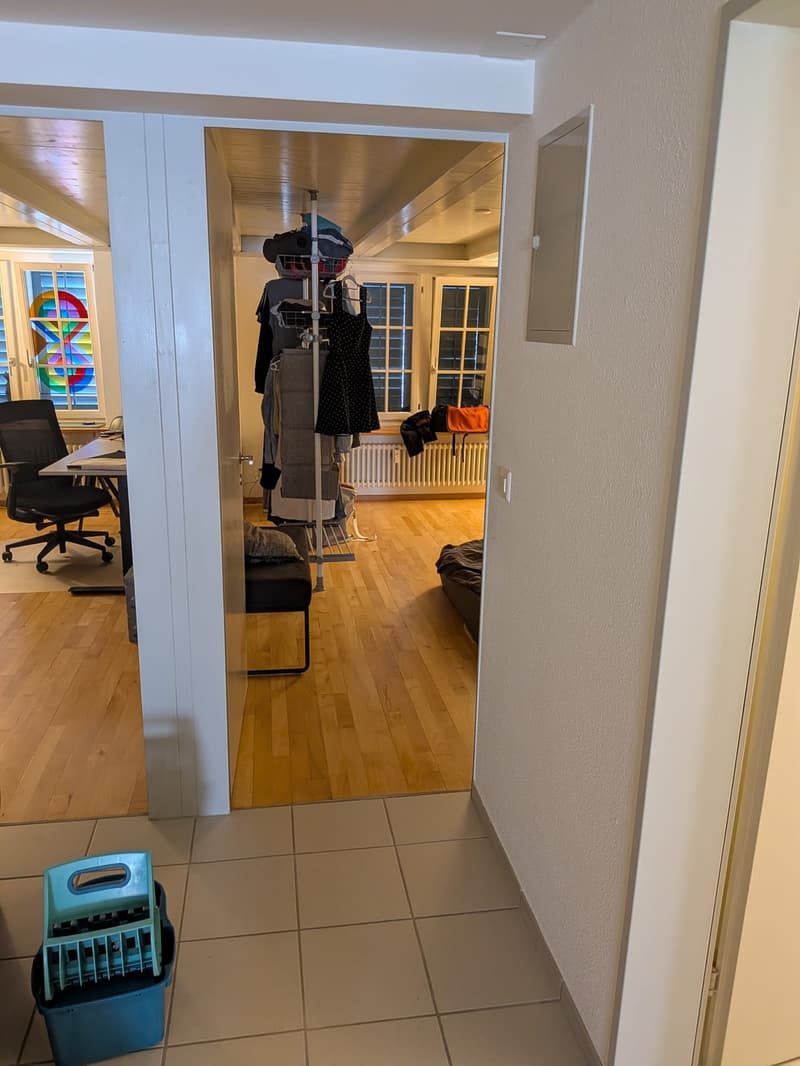 Recherche locataire pour appartement 3.5 pièces dans le vieux Winterthour (9)