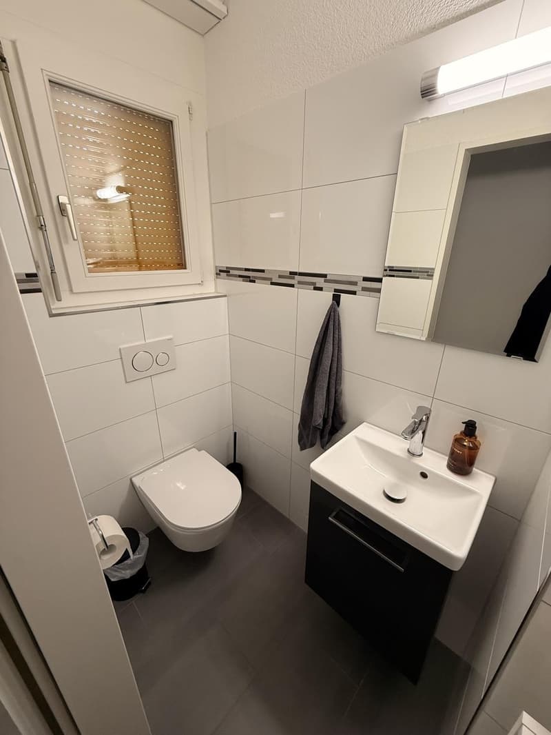 Maisonette di 3,5 locali con terrazza e giardino privato - Inquilino ricercato dal 1.9.2026 a Winterthur (5)