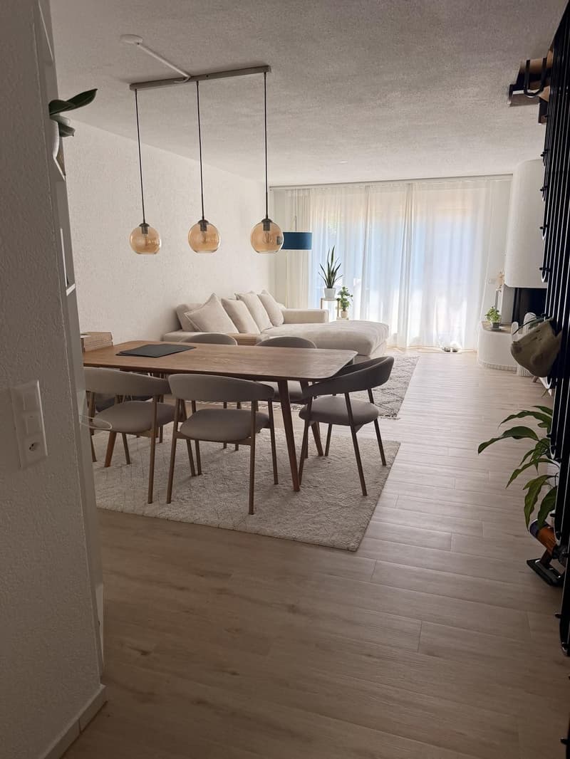 Maisonette di 3,5 locali con terrazza e giardino privato - Inquilino ricercato dal 1.9.2026 a Winterthur (10)
