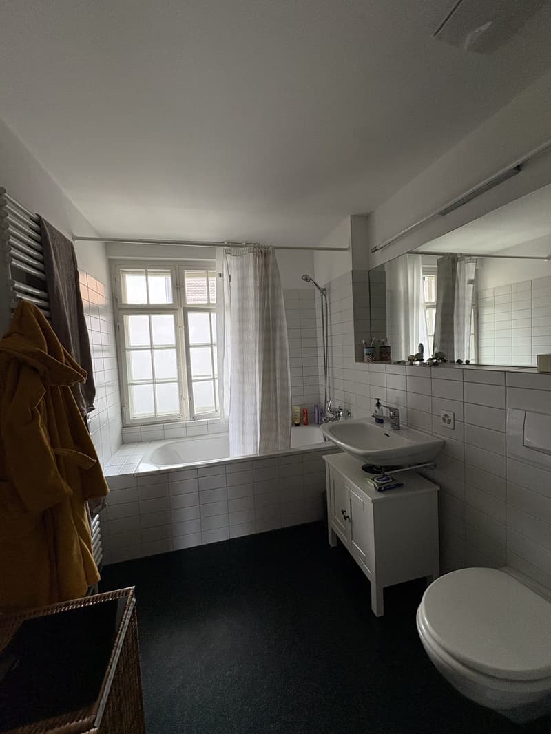 3 pièces et demi appartement, 8400 Winterthur (9)