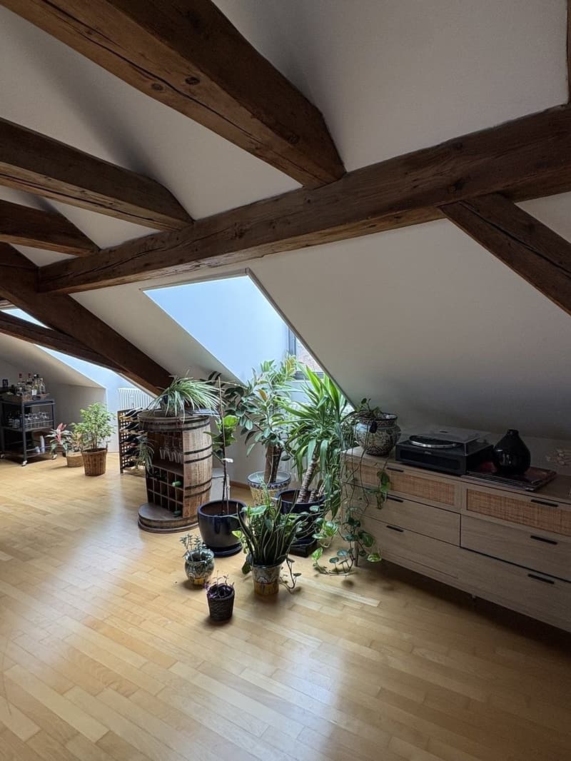 3 pièces et demi appartement, 8400 Winterthur (3)