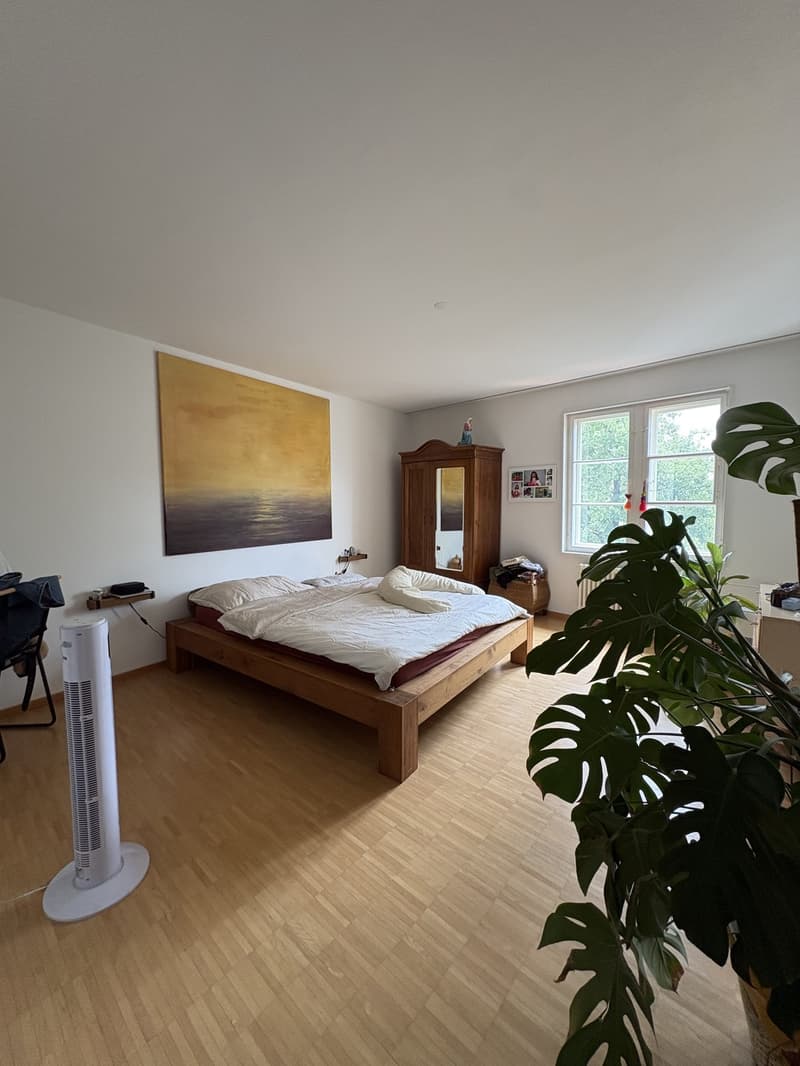 3 pièces et demi appartement, 8400 Winterthur (7)