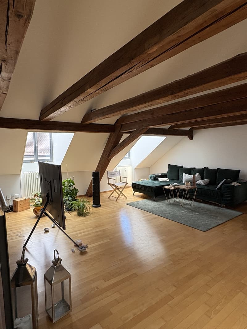 3 pièces et demi appartement, 8400 Winterthur (1)