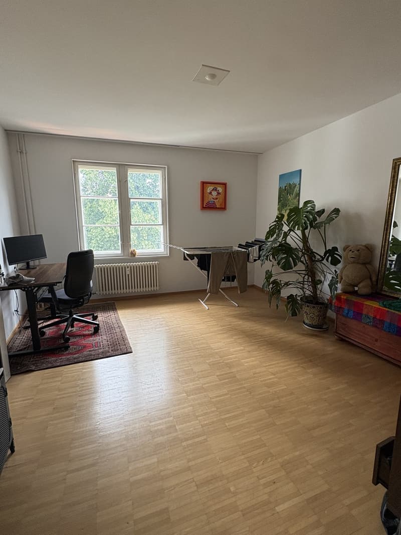 3 pièces et demi appartement, 8400 Winterthur (6)