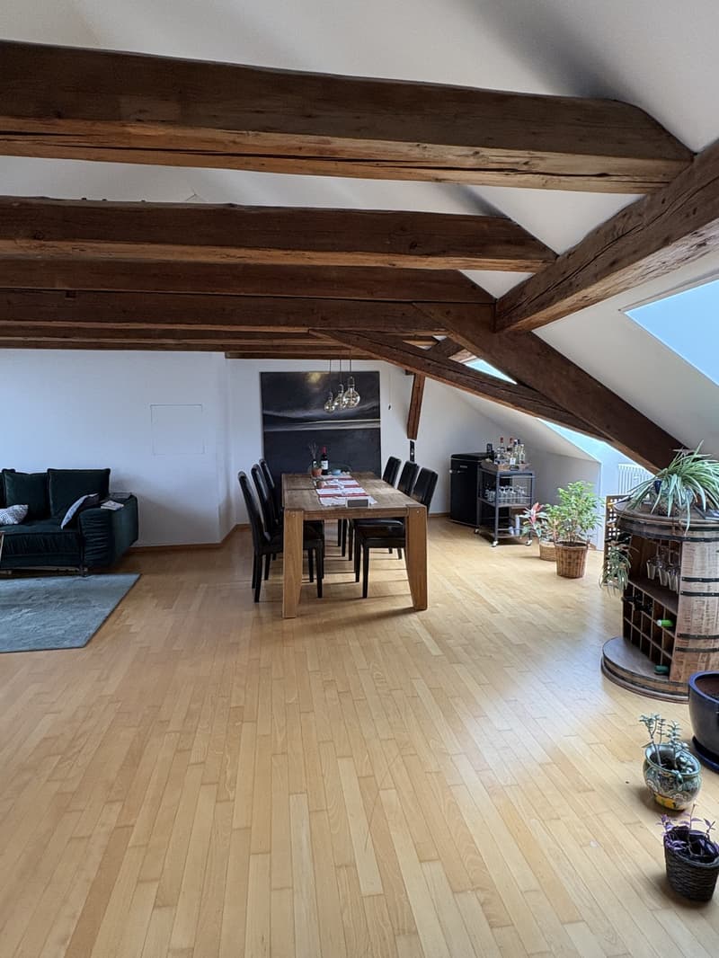 3 pièces et demi appartement, 8400 Winterthur (2)