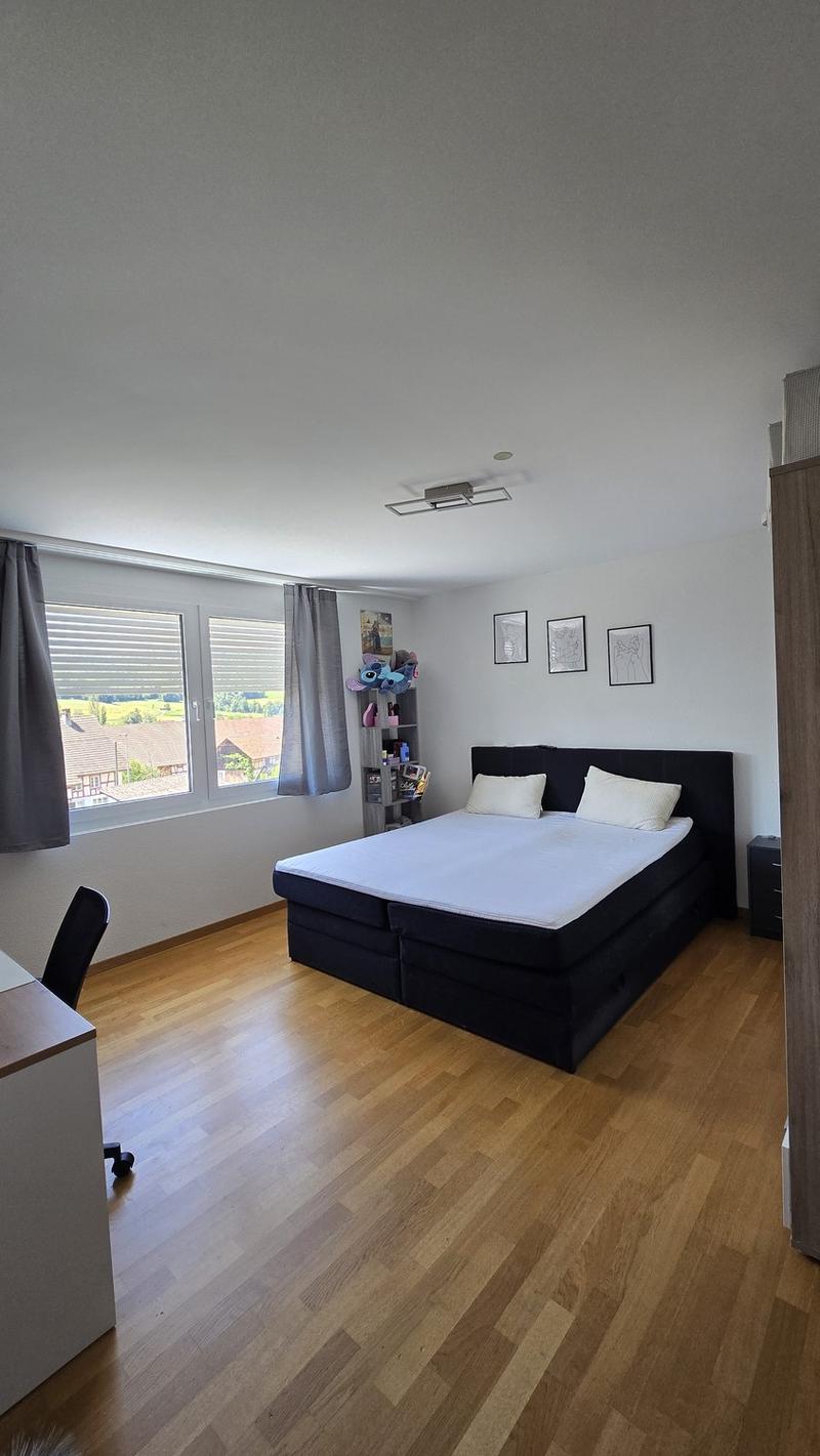 Appartamento 3 ½ locali, 8164 Bachs (9)