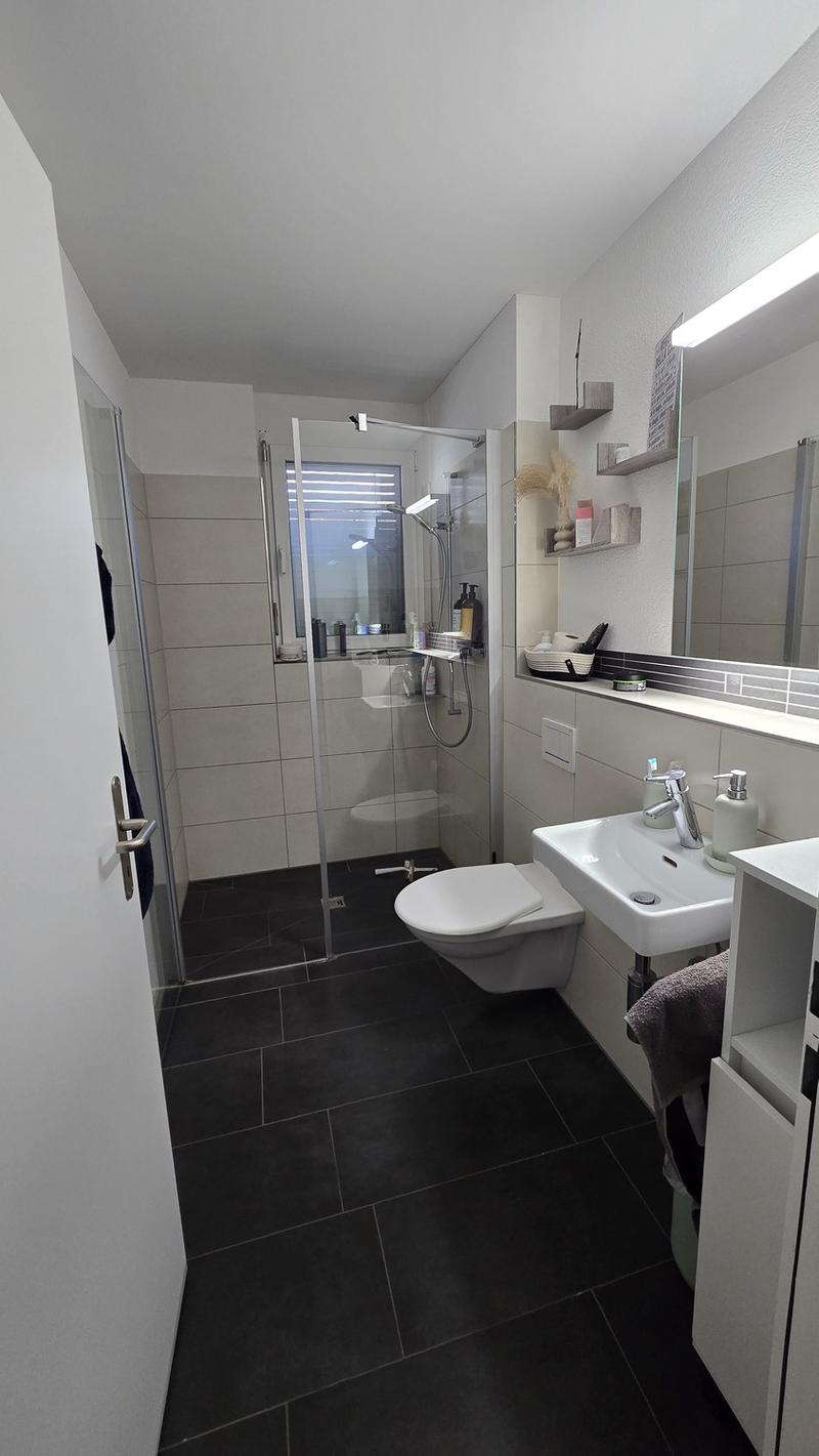 Appartamento 3 ½ locali, 8164 Bachs (7)