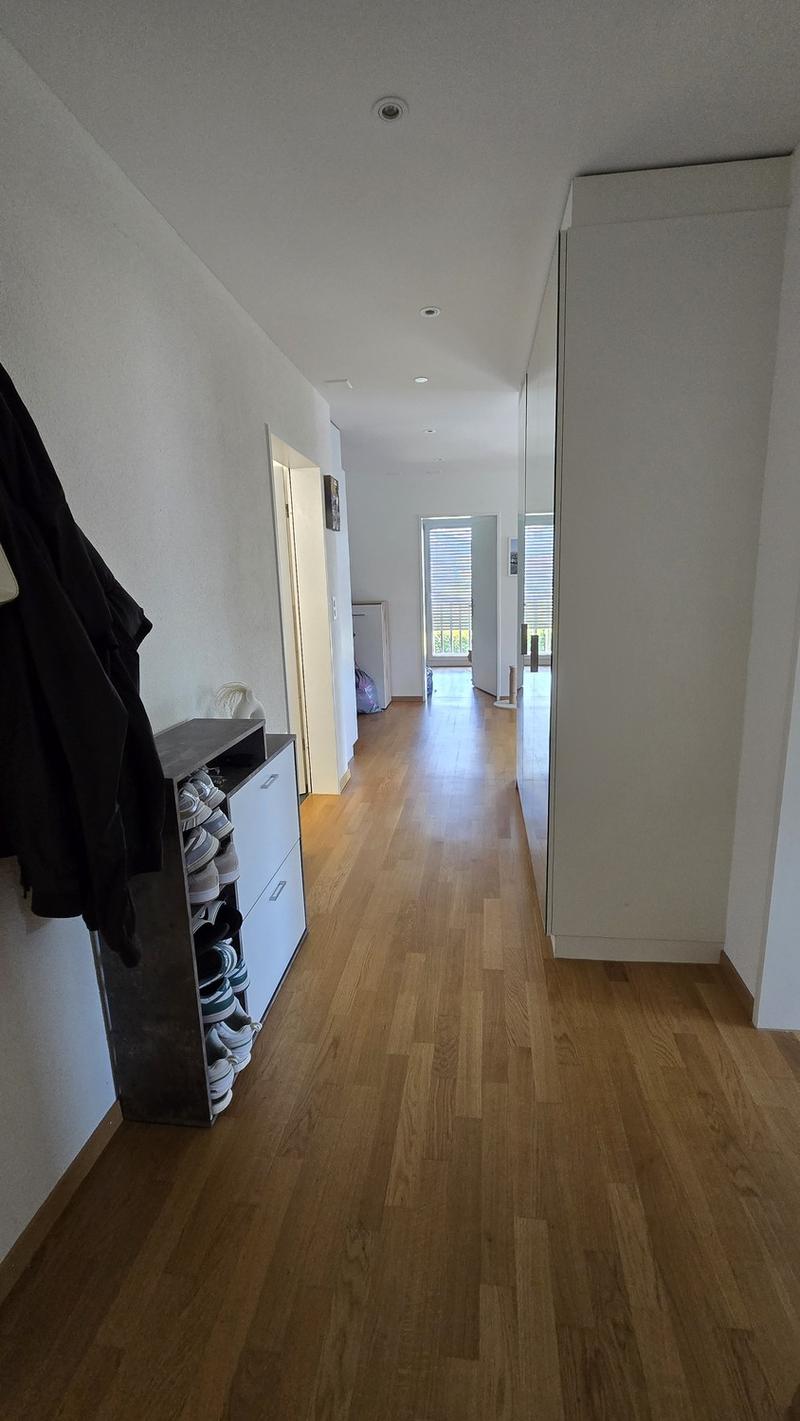 Appartamento 3 ½ locali, 8164 Bachs (2)