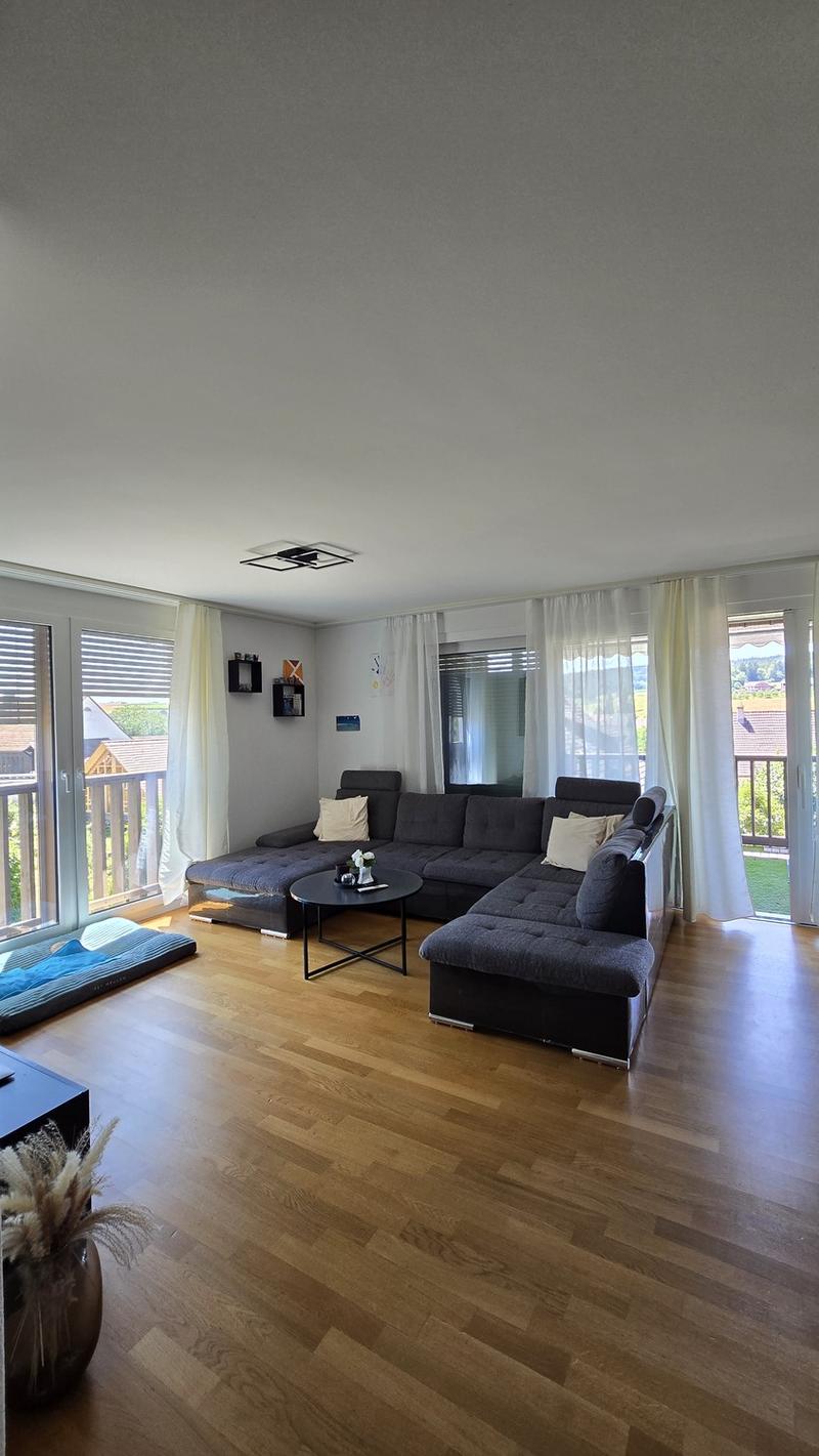 Appartamento 3 ½ locali, 8164 Bachs (4)