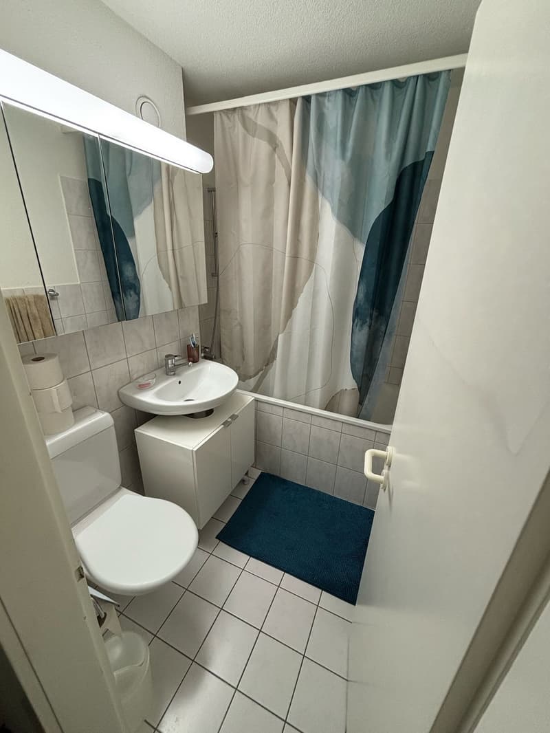 BEFRISTET: Möblierte 3.5-Zimmer-Wohnung mit Balkon zur Untermiete (4)