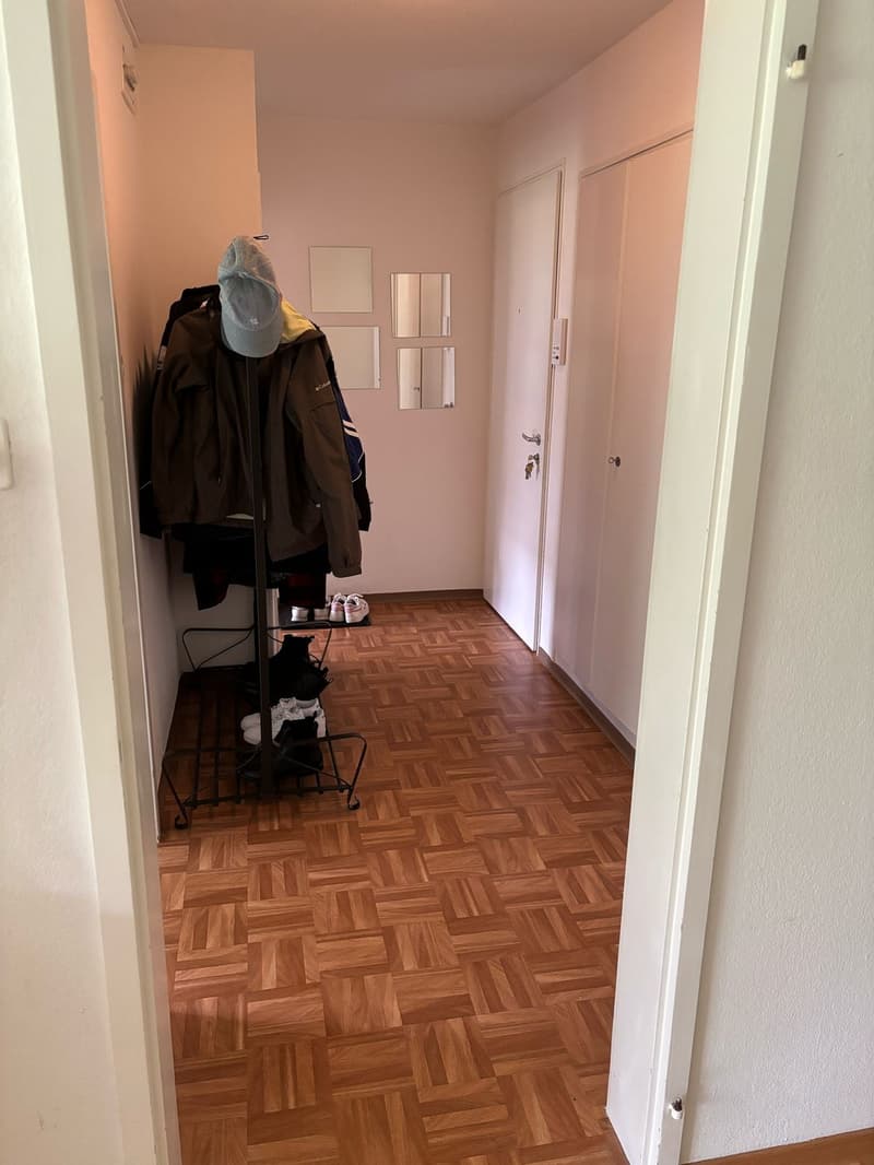 BEFRISTET: Möblierte 3.5-Zimmer-Wohnung mit Balkon zur Untermiete (7)
