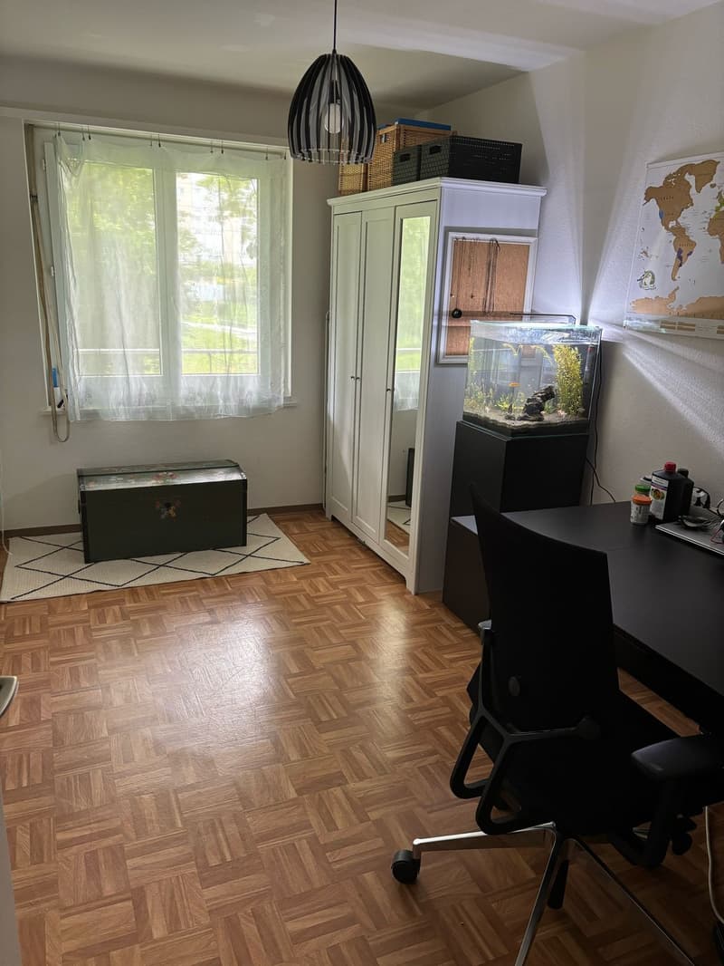 BEFRISTET: Möblierte 3.5-Zimmer-Wohnung mit Balkon zur Untermiete (6)