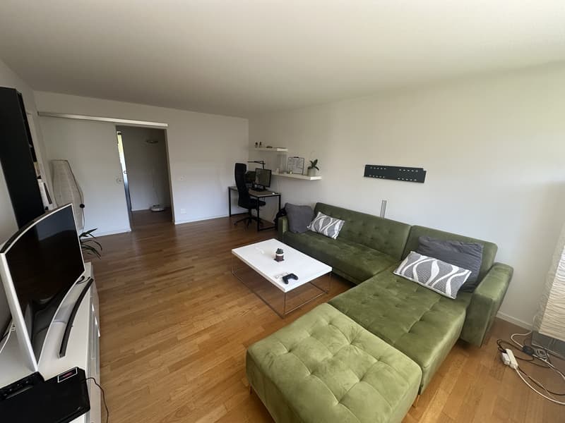 Spacious & Bright 2.5-room flat in Wiedikon (2)