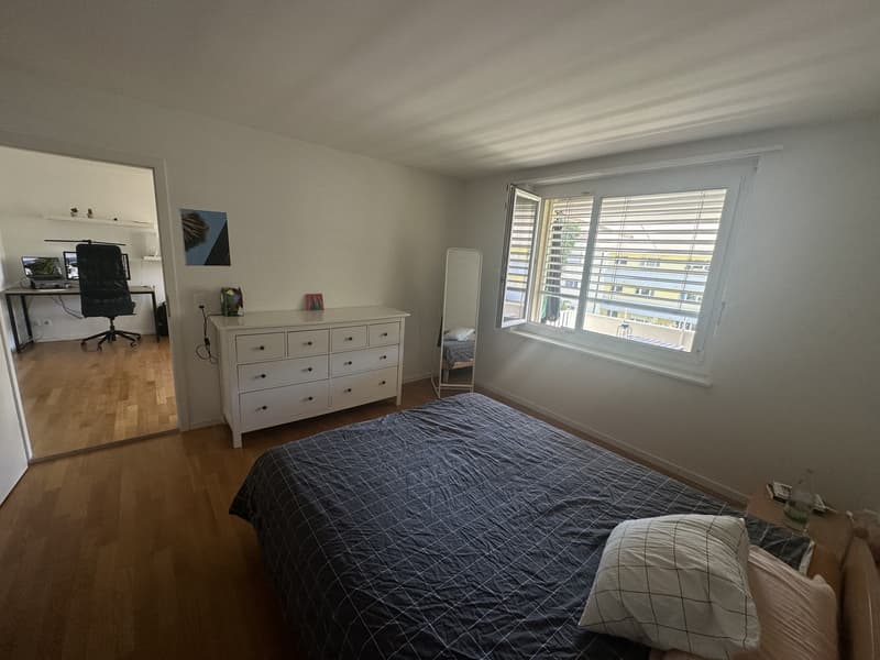Spacious & Bright 2.5-room flat in Wiedikon (7)