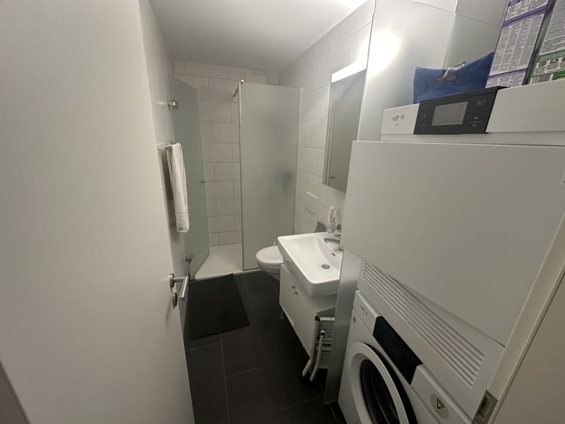Spacious & Bright 2.5-room flat in Wiedikon (10)