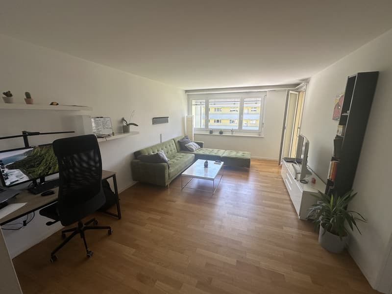 Spacious & Bright 2.5-room flat in Wiedikon (1)