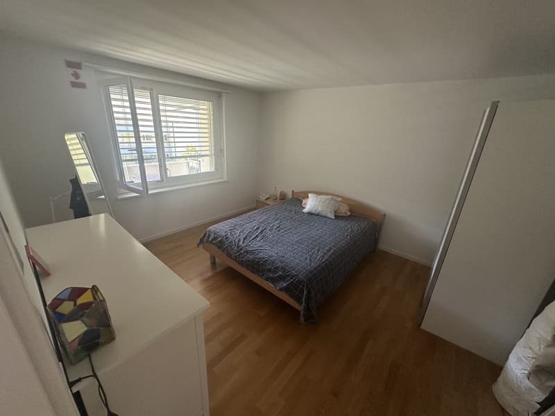 Spacious & Bright 2.5-room flat in Wiedikon (6)