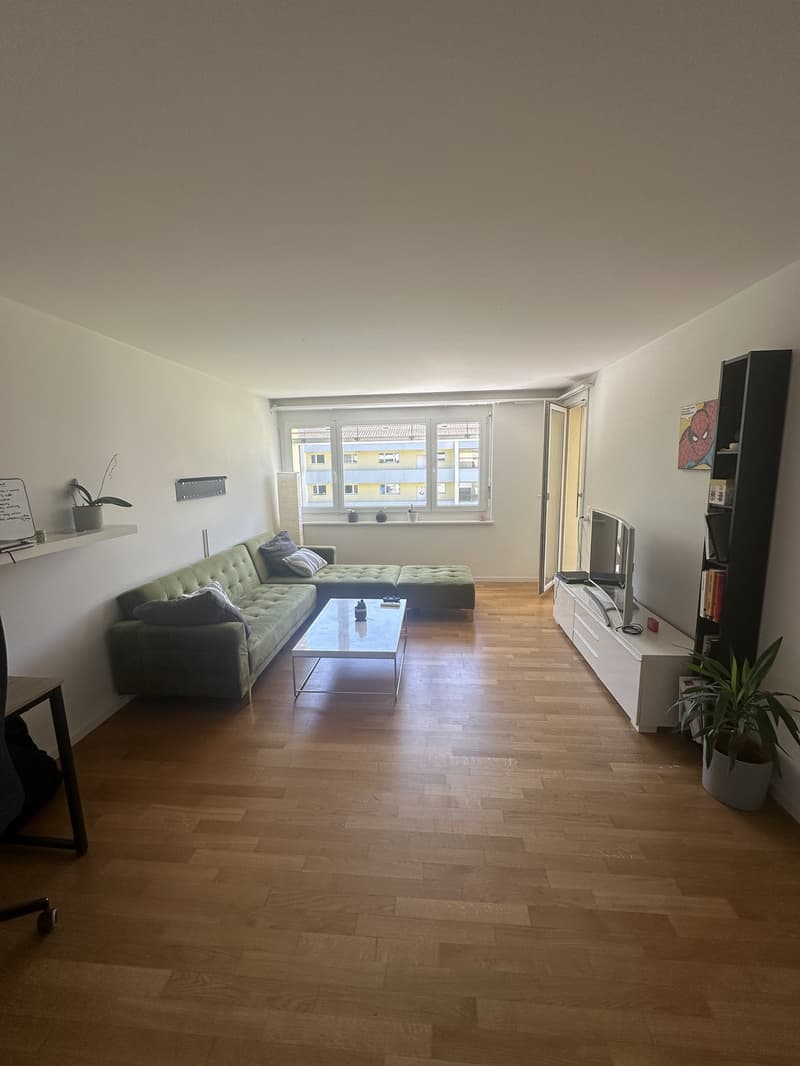 Spacious & Bright 2.5-room flat in Wiedikon (3)