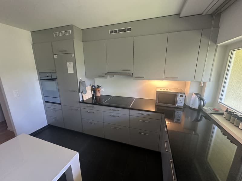 Spacious & Bright 2.5-room flat in Wiedikon (4)
