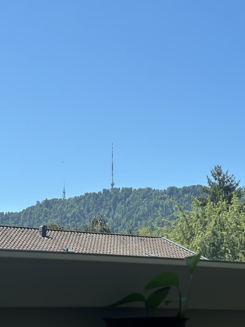 Spacious & Bright 2.5-room flat in Wiedikon (9)