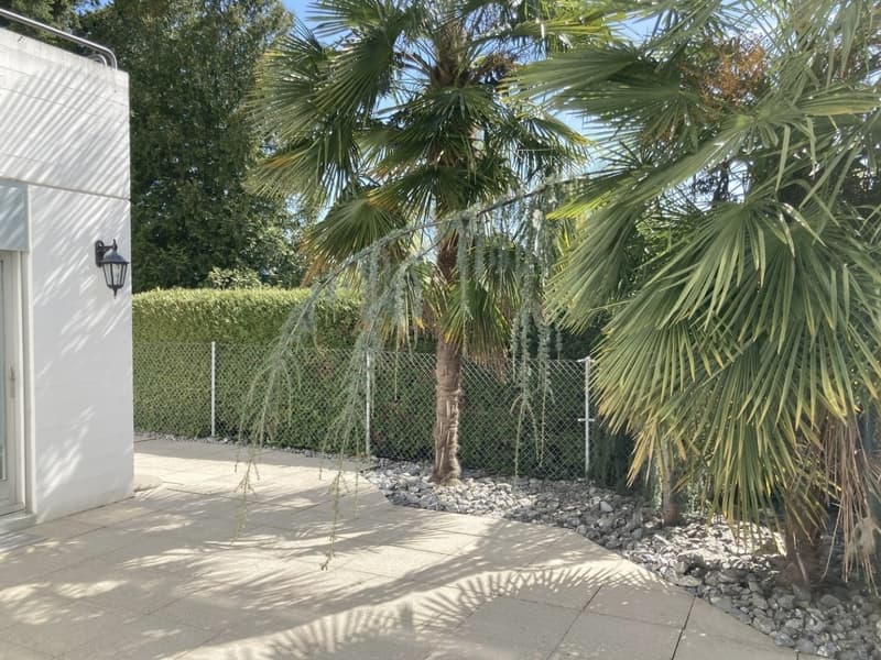 Appartamento di 3,5 locali con terrazza palmizzata spaziosa (2)