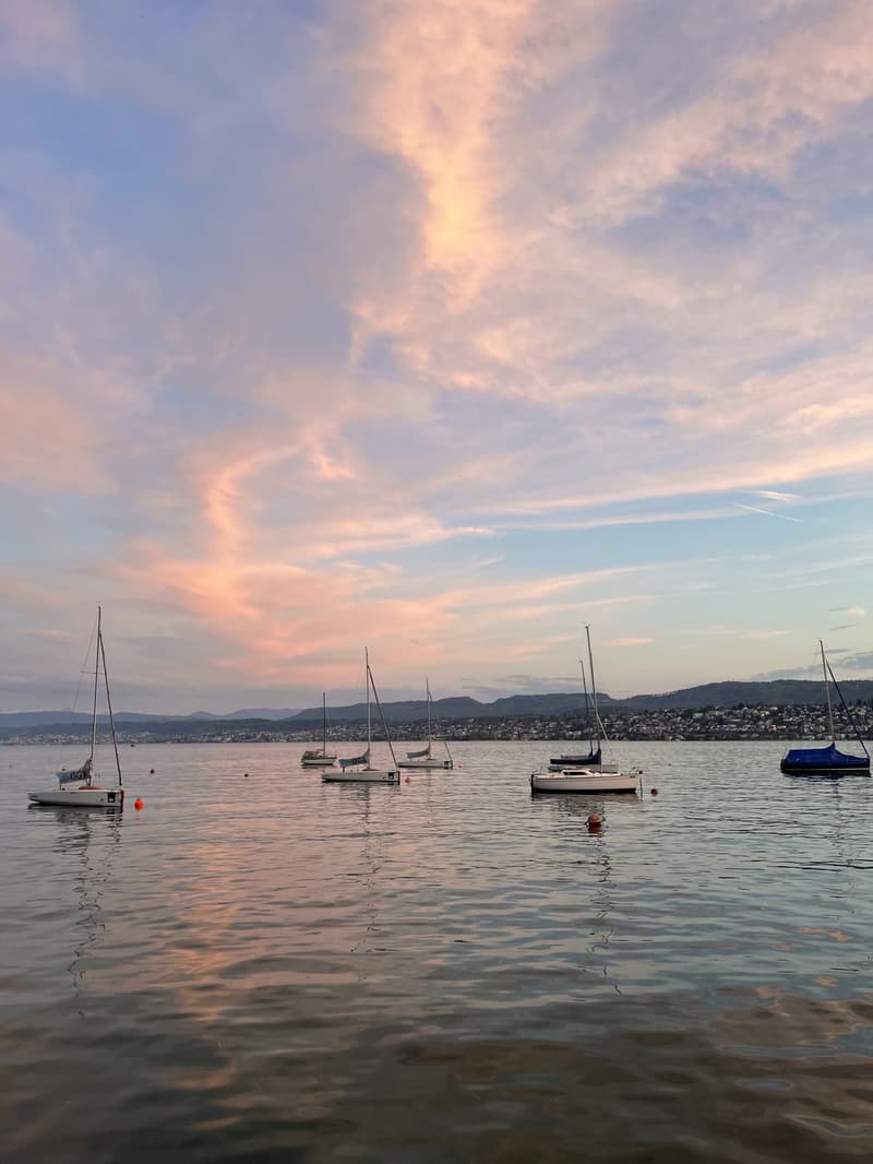 2-Personen-WG 5 Minuten zu Fuß von Chinagarten & Lake Zurich! (5)