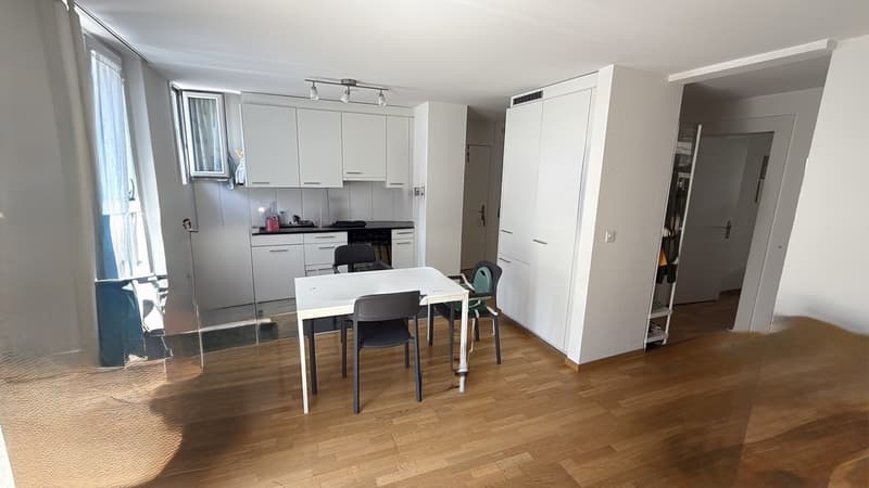 2-Personen-WG 5 Minuten zu Fuß von Chinagarten & Lake Zurich! (2)