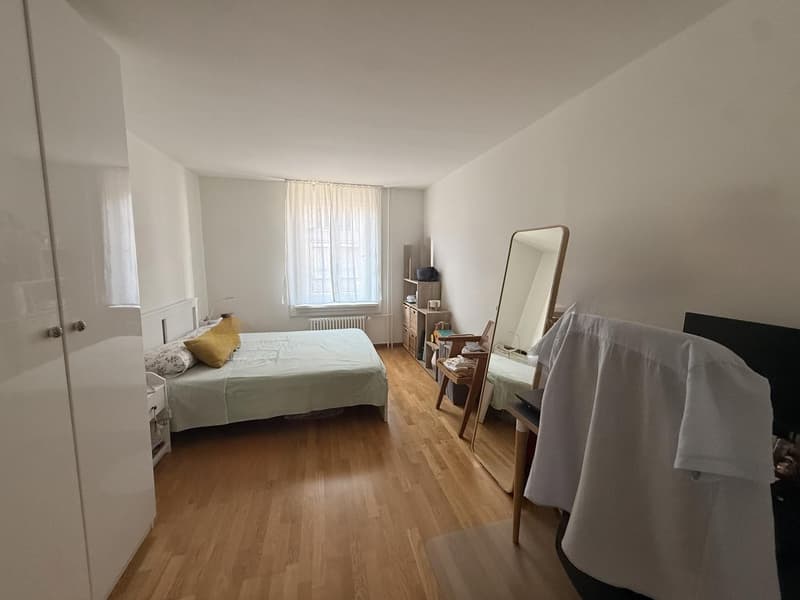 2-Personen-WG 5 Minuten zu Fuß von Chinagarten & Lake Zurich! (3)