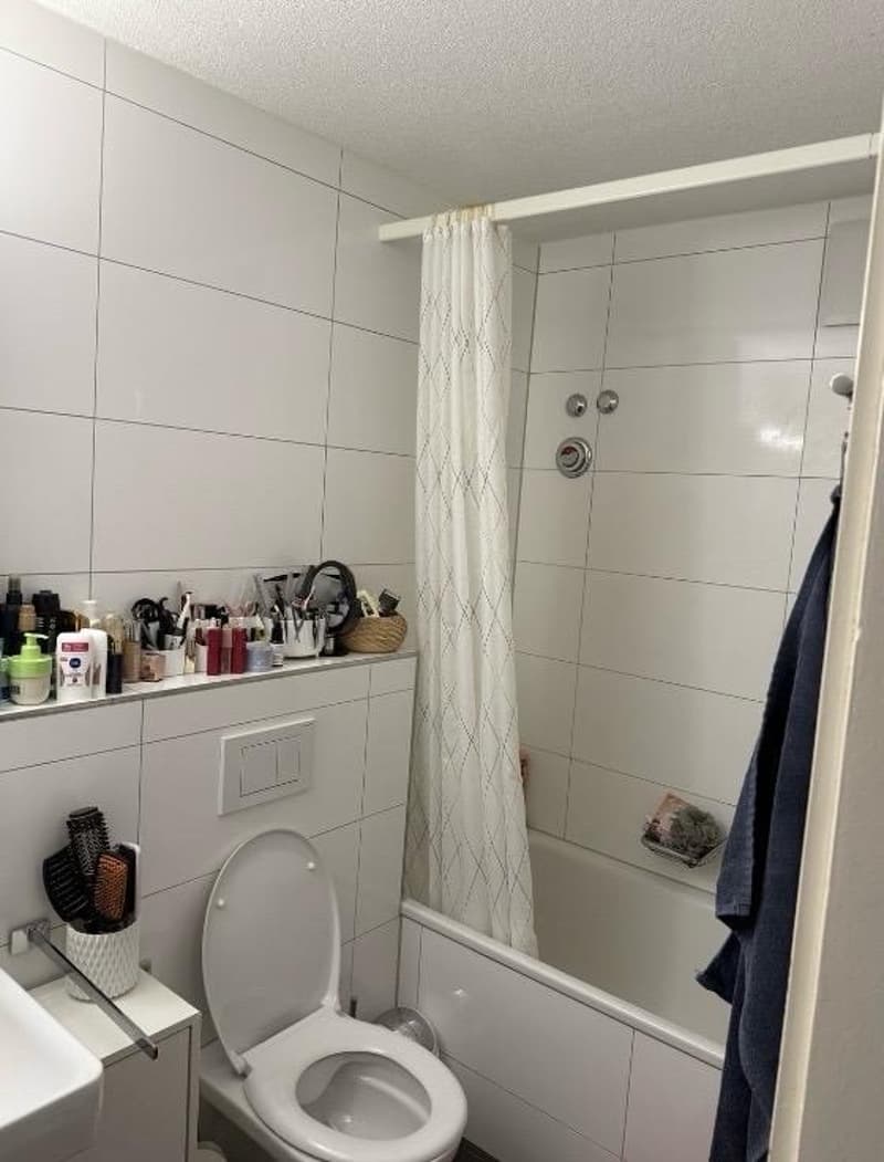 Moderne 3.5-Zimmer-Wohnung in Seenähe (5)