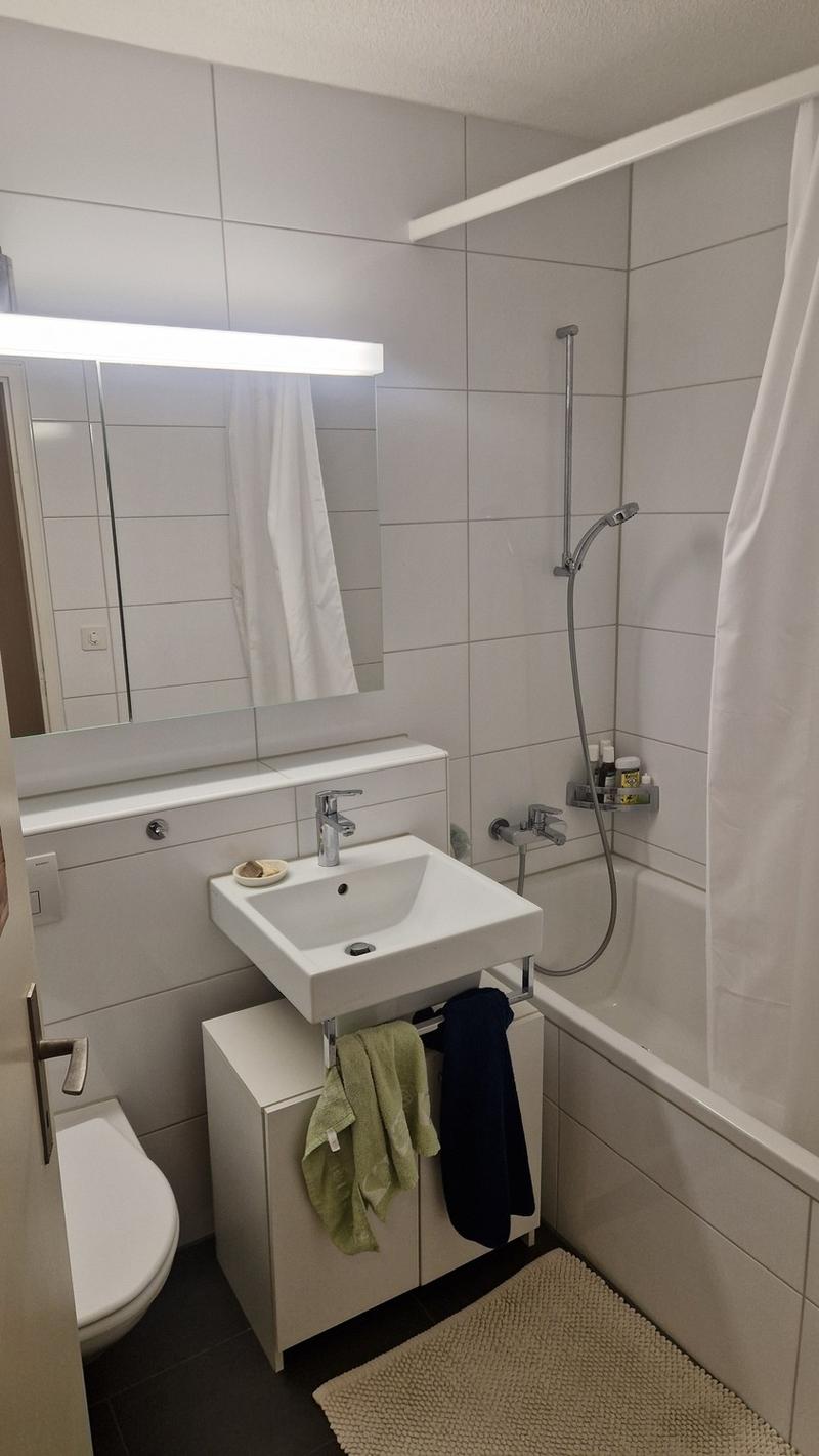 2.5 Zimmer Wohnung in Albisrieden (befristet/shortterm) (6)