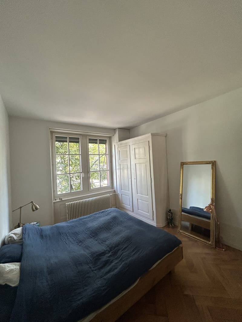 Hübsche 2 ZiWo im Breitsch (3)