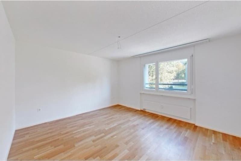 Recherche locataire ! Appartement 4.5 pièces (5)
