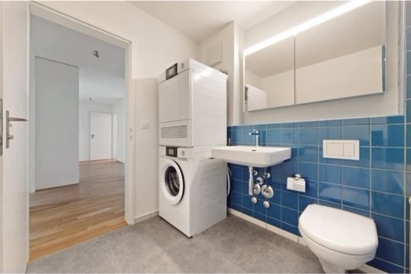 Recherche locataire ! Appartement 4.5 pièces (4)