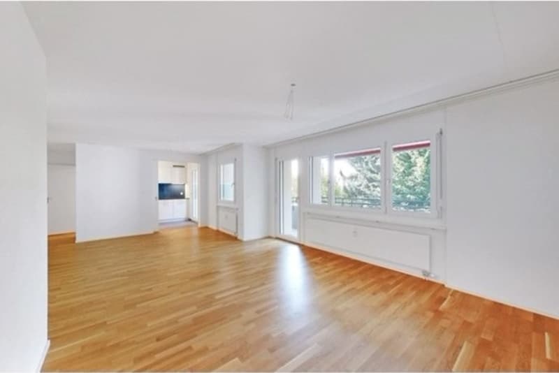 Recherche locataire ! Appartement 4.5 pièces (1)